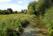 The River Test in Hampshire