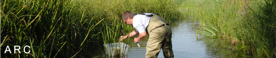 Dr Mark Trimmer taking methane samples from a carrier of the River Test in July