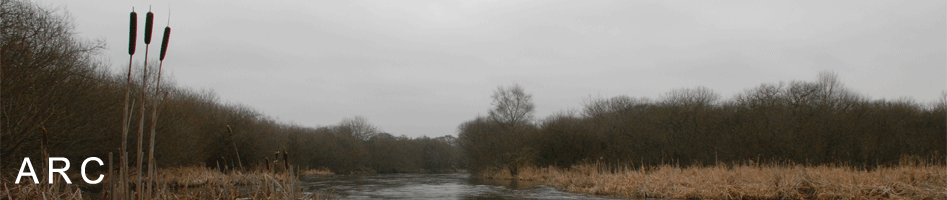 The River Itchen in winter