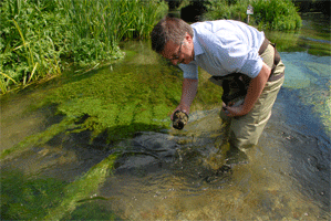 Mark Trimmer with an Agapetus-encrusted rock from the River Itchen